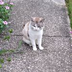 Tammy Peeler - @grits725 - Instagram