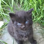 Tammy Peckham - Facebook