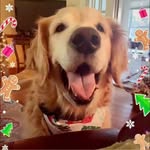 Tammy Pelham Garner - @tammyrgarner - Instagram