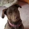 tammypelkey528 - @tammypelkey528 - TikTok