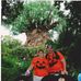 Tammy Buecker Pender - Facebook