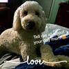 Tammy Pendley Dayton - @tamstok407 - TikTok