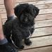 Tammy Penner - Facebook