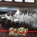 Tammy Penson - Facebook