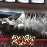 Tammy Penson - @pensontammy - Instagram