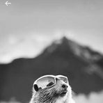 Tammy Pepple - Facebook