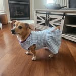 Tammy Perdue - @wahoowah_1 - Instagram