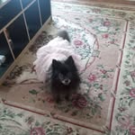 Tammy Perdue - @tammyperdue73 - Instagram
