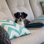 Tammy Perdue - @tperdue63 - Instagram