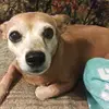 Tammy Perdue - @daddysgirl868 - TikTok