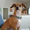 tammyperdue255 - @tammyperdue255 - TikTok