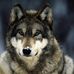 Tammy Perrault - Facebook