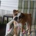 Tammy Perrault - Facebook