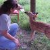 Tammy Perrine - Facebook