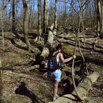 Tammy Perrine - @perrinetammy - Instagram