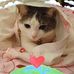Tammy Petersen - Facebook
