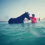 Tammy Petersen - @tamtampetersen - Instagram