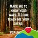 Tami Petrie - Facebook