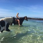 Tammy Miller McPetrie - @tammymcpetrie - Instagram