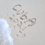 Tammy Petrie - @tammypetrie1234 - Instagram