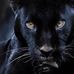 Tammy Petrie - Facebook