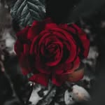 Tammy Phan - @tammy_phan23 - Instagram