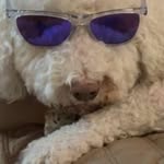 Tammy Sampson Phifer - @phifertammy - Instagram
