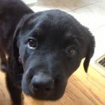 Tammy Cunningham-Piccolo - @tpiccolo2 - Instagram