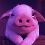 Tammy - @piggy.tammy - Instagram