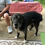 Tammy Pinkham Plouffe - @tammypinkhamplouffe - Instagram