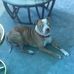 Tammy Planck - Facebook