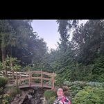 Tammy Platt - @tammyplatt98660 - Instagram