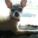 Tammy Poff - Facebook