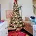 Tammy Poling - Facebook