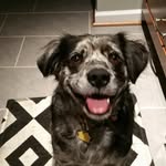 Tammy Pomeroy - @tammypomeroy14 - Instagram