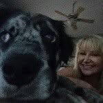 tammy pomeroy - @tammy.pomeroy - Instagram