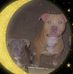 Tammy Poole - Facebook