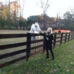 Tammy Poston - @postontammy - Instagram
