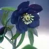 tammyarrantpost - @tammy.arrant.post - TikTok