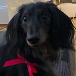 Tammy Postema - @tammy_postema - Instagram