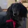 Tammy Postema - @tammypostema - TikTok