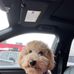Tammy Prall - Facebook