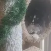 Tammy Prater - @tammy.prater97 - TikTok