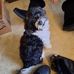 Tammy Preble - Facebook