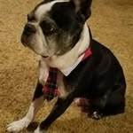 Tammy Pride Conrad - @tpconrad - Instagram