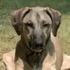 tammyprobstsmith - @tammyprobstsmith - TikTok