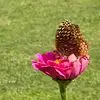 Tammy Bryant Proffitt - @tammy.bryant.prof - TikTok