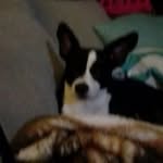 Tammy Proffitt - @proffitt7992 - Instagram