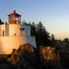 tammyproffitt715 - @tammyproffitt715 - TikTok