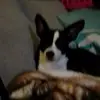 tammyproffitt - @tammyproffitt - TikTok